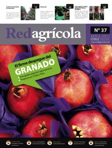 Abril 2011