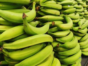 Ecuador: exportación de banano cayó 0,85% entre enero y noviembre de 2021