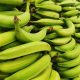 Ecuador: exportación de banano cayó 0,85% entre enero y noviembre de 2021