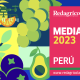 MEDIA KIT PERÚ