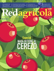 AGOSTO 2019