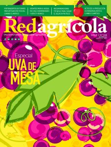 DICIEMBRE 2019
