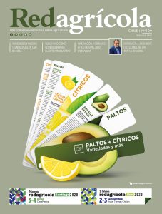 MARZO 2020