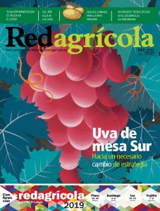 Junio 2019