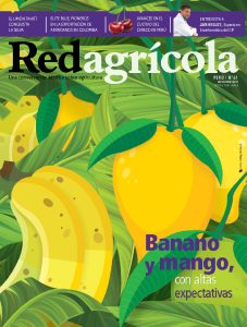 Noviembre 2019