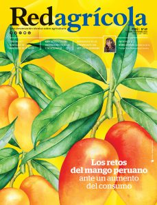 Octubre / Noviembre 2020