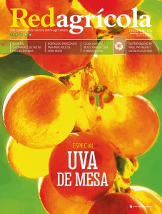 NOVIEMBRE/DICIEMBRE 2020