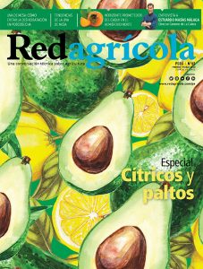 Febrero / Marzo