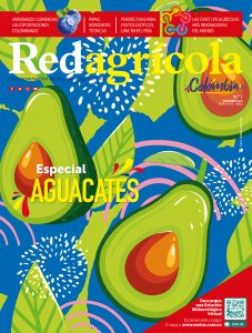 SEPTIEMBRE 2019