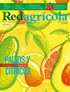 SEPTIEMBRE 2019