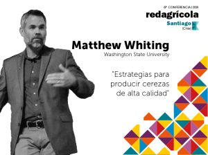 "Estrategias para producir cerezas de alta calidad"