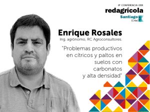 "Problemas productivos en cítricos y paltos en suelos con carbonatos y alta densidad"