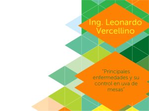 "Principales enfermedades y su control en uva de mesas"
