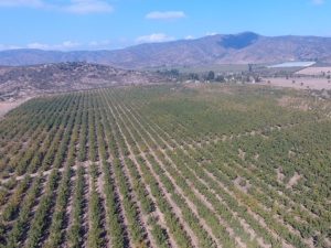 Revolucionan el riego de precisión con telemetría