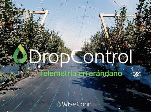 Telemetría en arándano