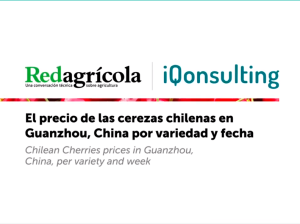 El precio de las cerezas chilenas en Guanzhou, China