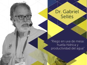 "Riego en uva de mesa: huella hídrica y productividad del agua"