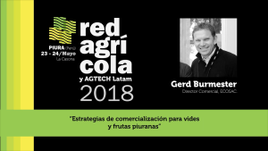 "Estrategias de comercialización para vides y frutas piuranas"