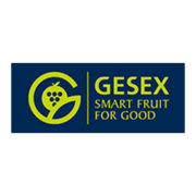 Salidas semanales de cereza chilena