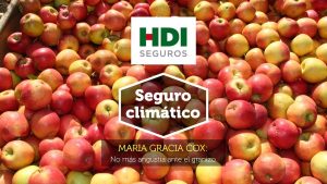 Seguro agrícola contra granizo en arándano y manzano