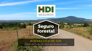 Incendio forestal en Ninhue protegido por seguro HDI