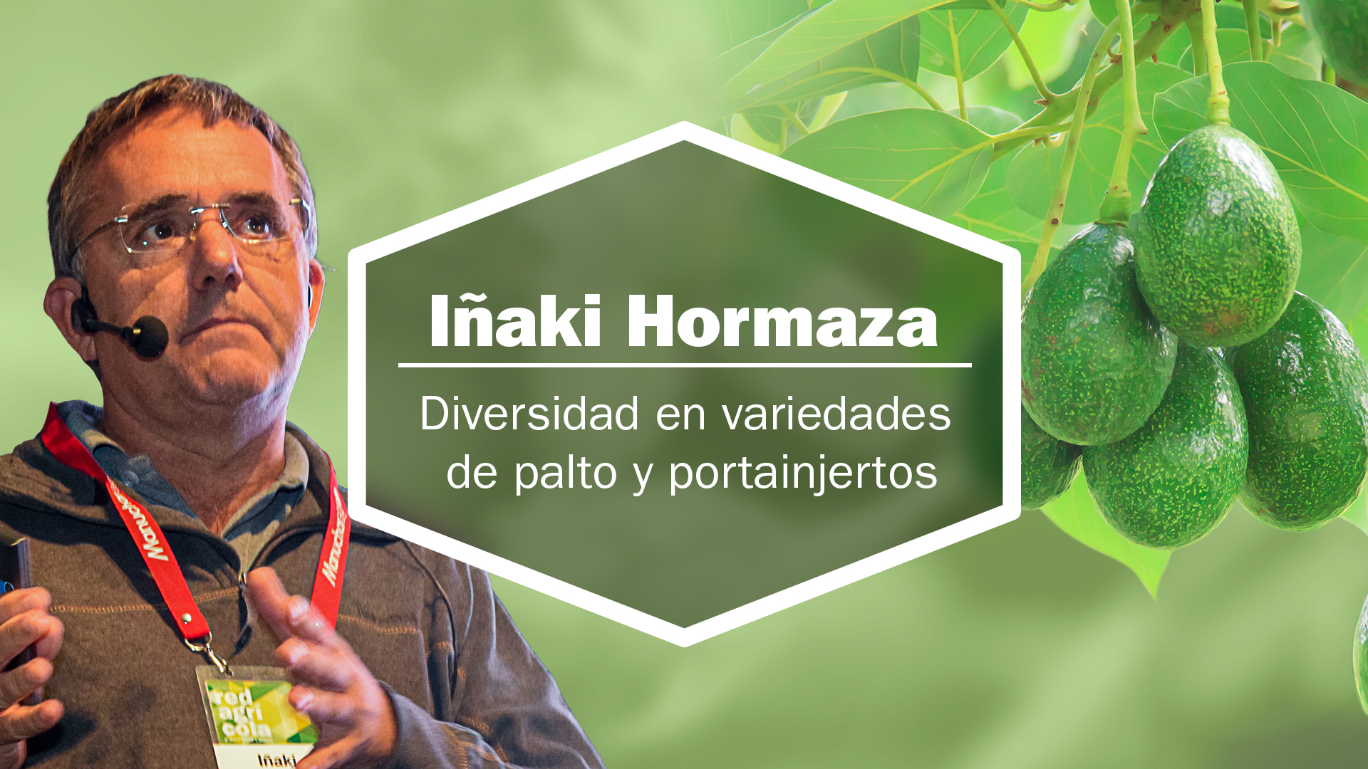 Ajíes peruanos a Europa