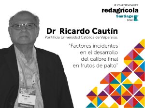 "Factores incidentes en el desarrollo del calibre final en frutos de palto"