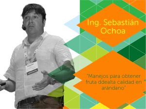 "Manejos para obtener fruta de alta calidad de arándano"