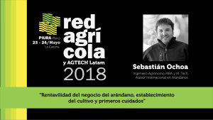 "Rentabilidad del negocio del arándano, establecimiento del cultivo y primeros cuidados"