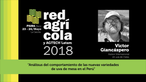 "Análisis del comportamiento de las nuevas variedades de uva de mesa en el Perú"