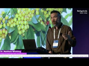 “Cerezos: Uso de reguladores de crecimiento para mejorar la calidad de la fruta y herramientas para manejar carga frutal”