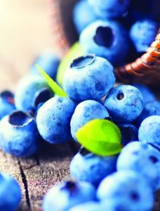 Una industria que construye su futuro