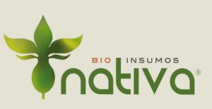 Evaluación de la eficacia de Nacillus Pro en el control de Erysiphe Necator en uva de mesa
