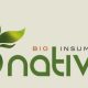 Evaluación de la eficacia de Nacillus Pro en el control de Erysiphe Necator en uva de mesa