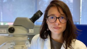 Tres nuevos ácaros depredadores para el control de trips en ornamentales