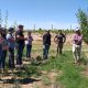 Interés en Mendoza por visita chilena asociada a la industria de las ciruelas secas