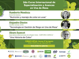 Crucial tema del color en curso internacional uva de mesa