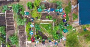 Bogotá profundiza su apuesta por la agricultura sostenible
