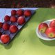 Presentan avances de nuevas variedades de manzanas que apuntan al mercado chino y japonés