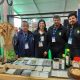 INIA presentó futura variedad de arroz negro