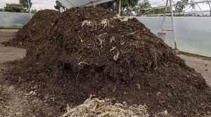 Abonos orgánicos, alternativa de producción de horticultores en Cundinamarca