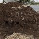 Abonos orgánicos, alternativa de producción de horticultores en Cundinamarca