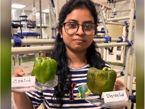 Investigadores crean recubrimiento comestible para aumentar la vida útil de frutas y verduras