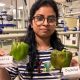 Investigadores crean recubrimiento comestible para aumentar la vida útil de frutas y verduras