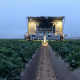 Empresa de robótica agrícola recaudó US$ 25 millones para su sistema de cosecha de fresas
