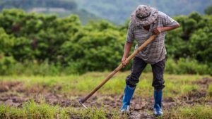 NASA premia aplicación que vincula a agricultores con mercados locales
