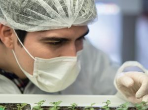 El ‘mix’ de hojas verdes más futurista