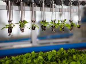 Empresas de Agrifoodtech han recaudado US$24,000 millones a nivel mundial