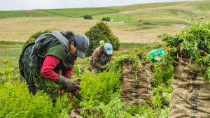 Colombia: exportaciones agropecuarias crecerían 3.4% al cierre del 2020