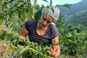 Tolima: Plan de Extensión Agropecuaria beneficiará a 14,770 productores